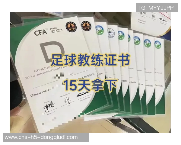 提升足球e级教练员素质的有效策略与实践探索